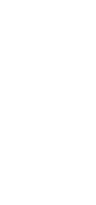 マグロの解体ショー